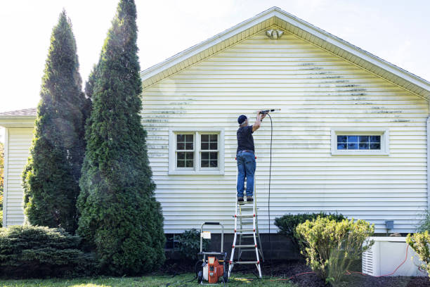 Best Driveway Pressure Washing  in Shell Valley, ND